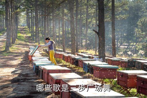 哪些歌是三步广场舞