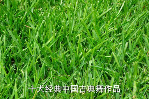中舞网舞蹈醉的舞蹈