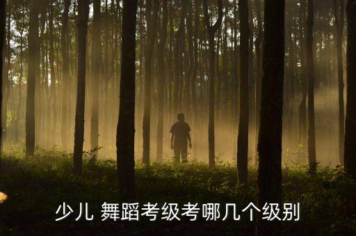 少儿 舞蹈考级考哪几个级别