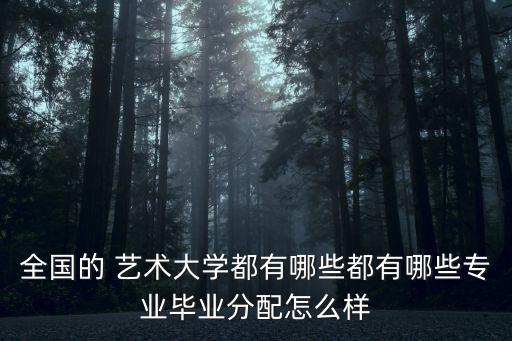 全国的 艺术大学都有哪些都有哪些专业毕业分配怎么样