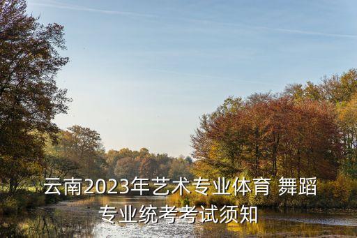  云南2023年艺术专业体育 舞蹈专业统考考试须知