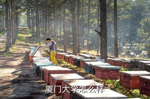 舞蹈留学夏令营,蓝桥留学夏令营怎么样