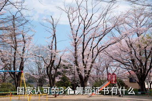 国家认可的3个 舞蹈证书有什么