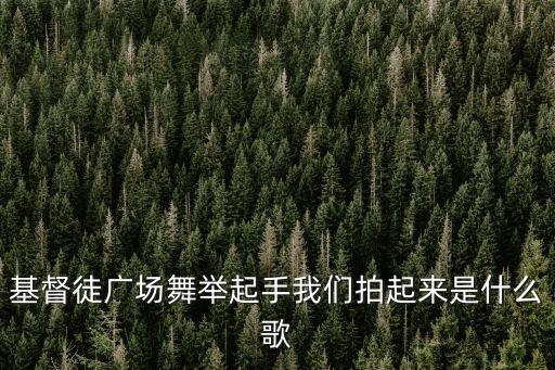基督徒广场舞举起手我们拍起来是什么歌