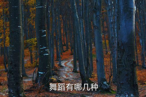  舞蹈有哪几种