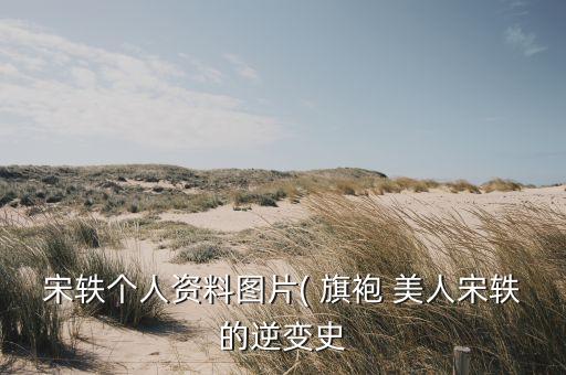 宋轶个人资料图片( 旗袍 美人宋轶的逆变史
