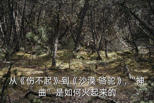 从《伤不起》到《沙漠 骆驼》,“神曲”是如何火起来的