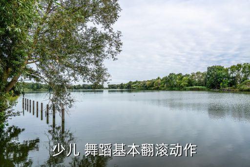 少儿 舞蹈基本翻滚动作