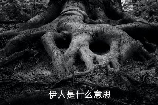  伊人是什么意思