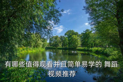 有哪些值得观看并且简单易学的 舞蹈 视频推荐