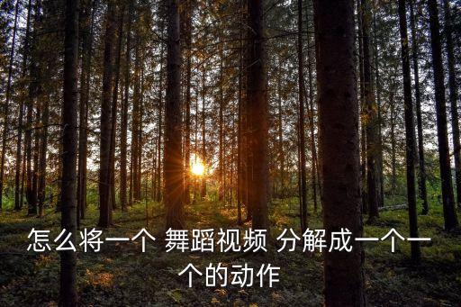 怎么将一个 舞蹈视频 分解成一个一个的动作