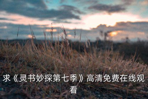 求《灵书妙探第七季》高清免费在线观看