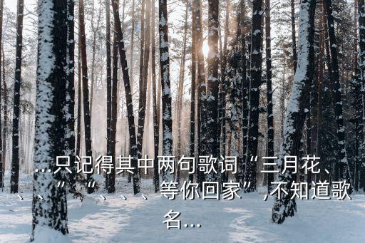...只记得其中两句歌词“三月花、、、”“、、、等你回家”,不知道歌名...