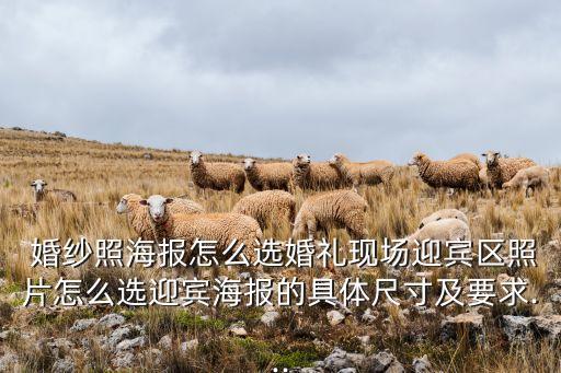  婚纱照海报怎么选婚礼现场迎宾区照片怎么选迎宾海报的具体尺寸及要求...