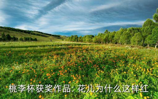 桃李杯获奖作品: 花儿为什么这样红
