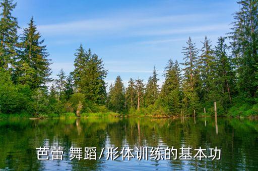 芭蕾 舞蹈/形体训练的基本功