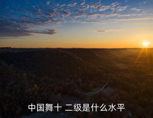 中国舞十 二级是什么水平