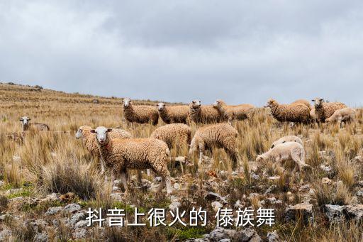 傣族舞蹈山间小摆音乐