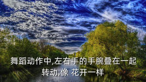 花开舞蹈视频静静,网易cc静静舞蹈视频