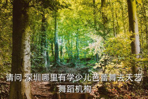 请问 深圳哪里有学少儿芭蕾舞去天艺 舞蹈机构