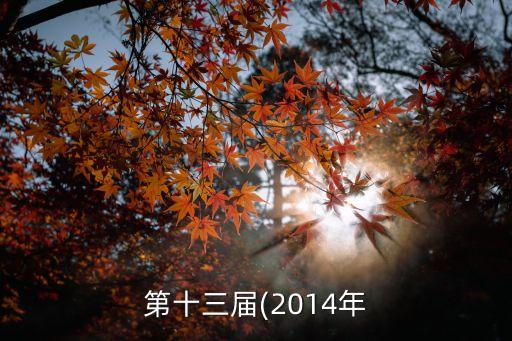 2014舞蹈比赛,舞蹈比赛的收获与感想