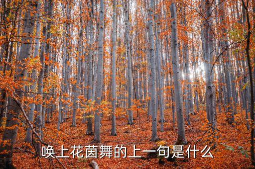 唤上花茵舞的上一句是什么