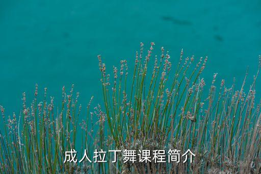 成人拉丁舞课程简介