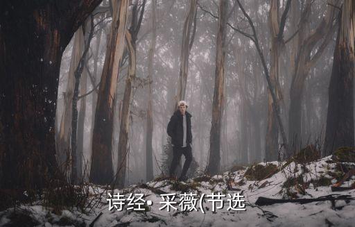 采薇舞蹈歌曲下载,goodtime舞蹈歌曲下载