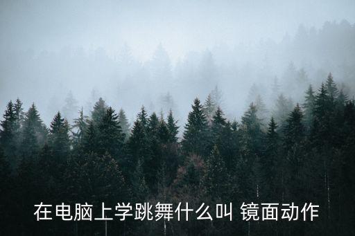 在电脑上学跳舞什么叫 镜面动作