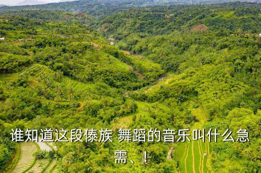 谁知道这段傣族 舞蹈的音乐叫什么急需、!