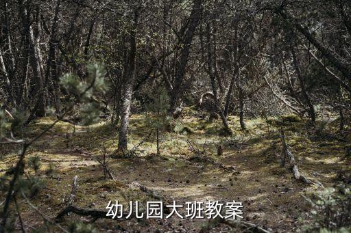 幼儿园大班教案