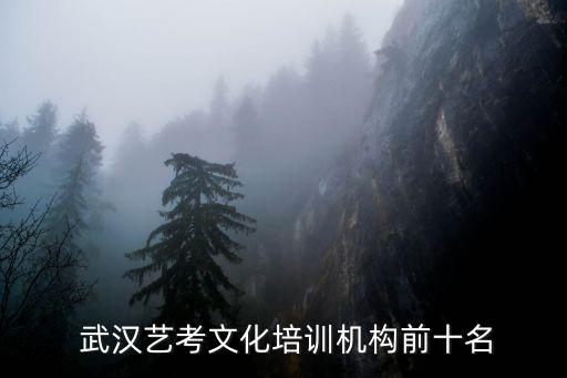  武汉艺考文化培训机构前十名
