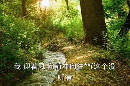 我 迎着风 向前冲向往**(这个没听清