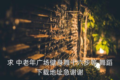 中老年群舞蹈,圣诞节中老年舞蹈
