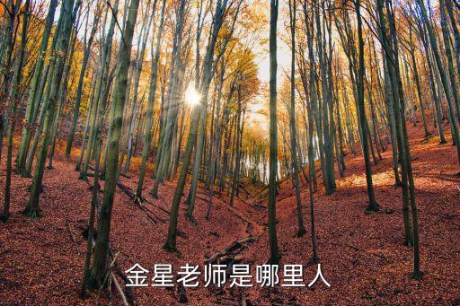金星老师是哪里人