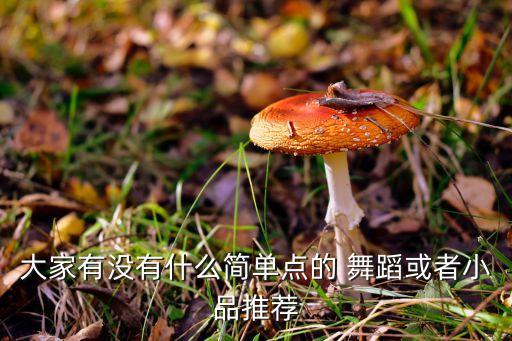 大家有没有什么简单点的 舞蹈或者小品推荐