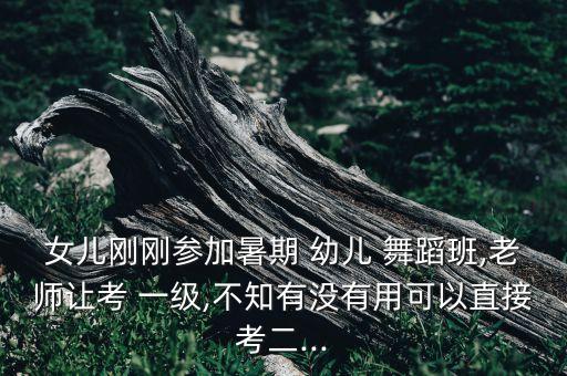 女儿刚刚参加暑期 幼儿 舞蹈班,老师让考 一级,不知有没有用可以直接考二...