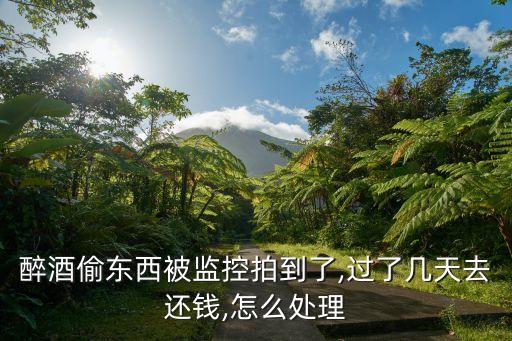 醉酒偷东西被监控拍到了,过了几天去还钱,怎么处理