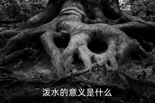 泼水的意义是什么