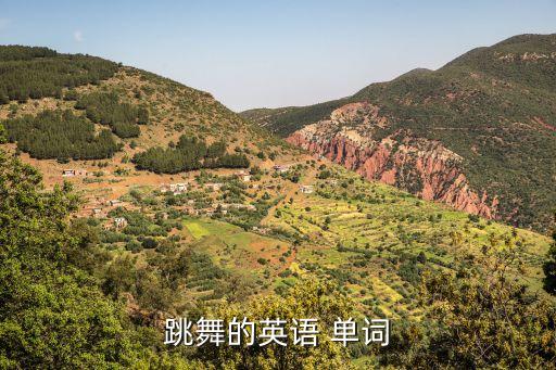 舞蹈单词名词解释,舞蹈剧场名词解释