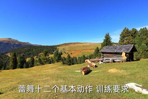 蕾舞十二个基本动作 训练要求