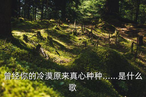 曾经你的冷漠原来真心种种……是什么歌