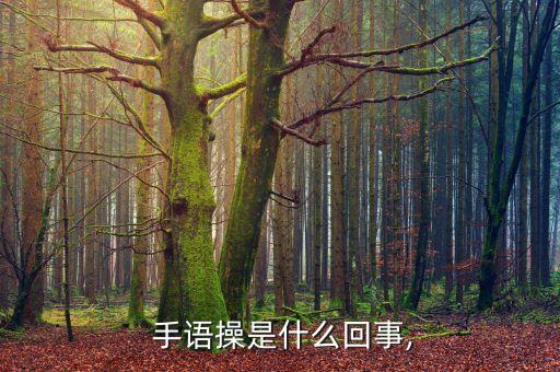  手语操是什么回事,