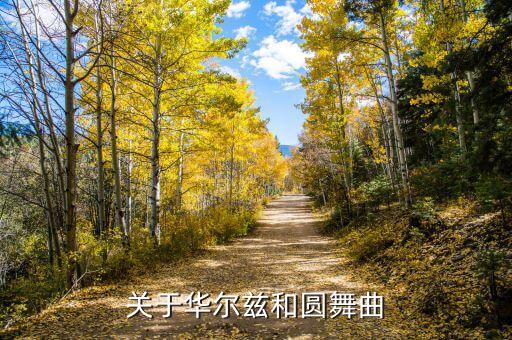 黄玫瑰舞蹈教学慢三步,交谊舞慢三黄玫瑰教学视频