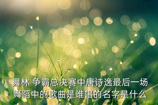 舞林争霸里面的舞蹈,美国舞林争霸经典舞蹈