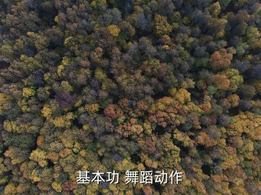 舞蹈技巧掰旁腿叫什么,舞蹈基本功技巧