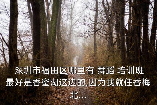  深圳市福田区哪里有 舞蹈 培训班最好是香蜜湖这边的,因为我就住香梅北...