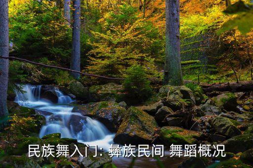 彝族舞蹈的要求,彝族的舞蹈
