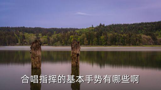 合唱指挥的基本手势有哪些啊