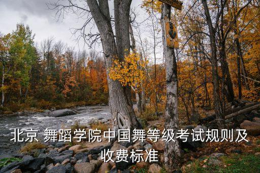 北京 舞蹈学院中国舞等级考试规则及收费标准